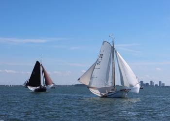 Frans 150
